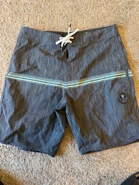 Vissla Men’s Gray Stripe Swim Trunks